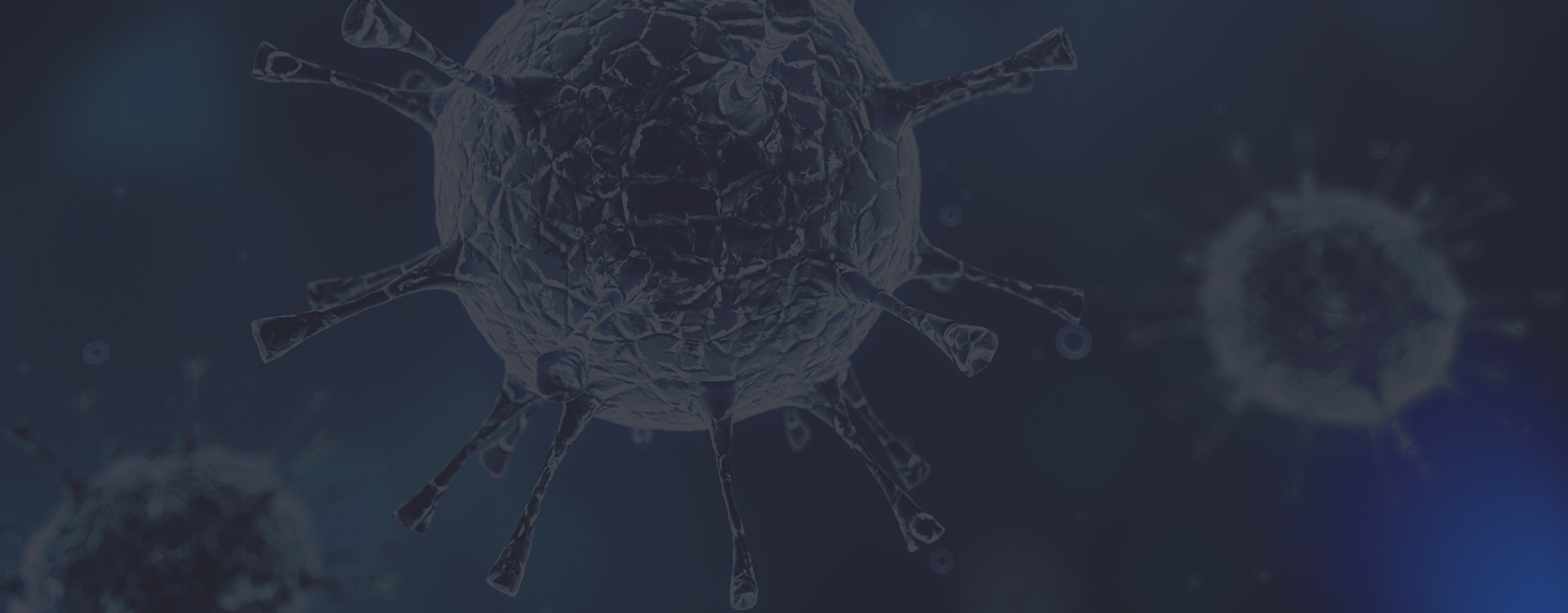 Máy phân tích độ dẫn điện