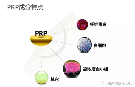 [Phổ biến khoa học] PRP autologous Serum Beauty